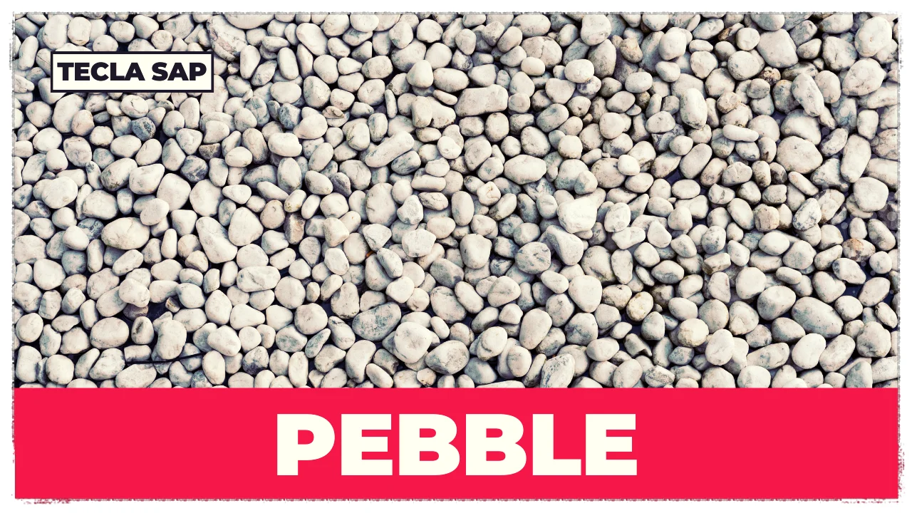 PEBBLE: qual é o significado e a tradução de PEBBLE?