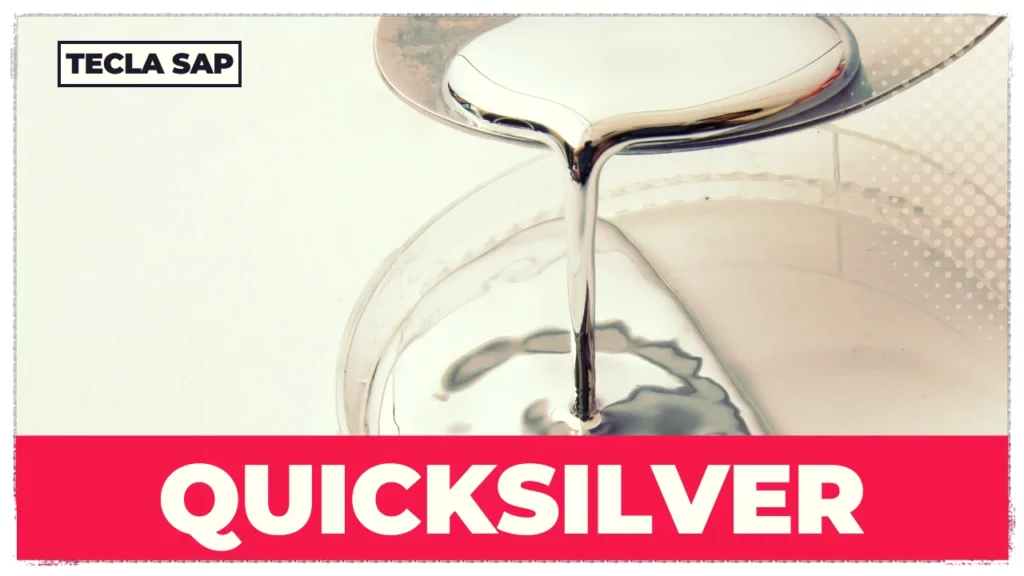 QUICKSILVER