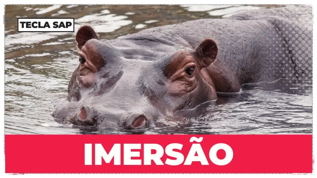 IMERSÃO
