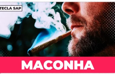 Maconha em inglês: guia completo para você não errar mais