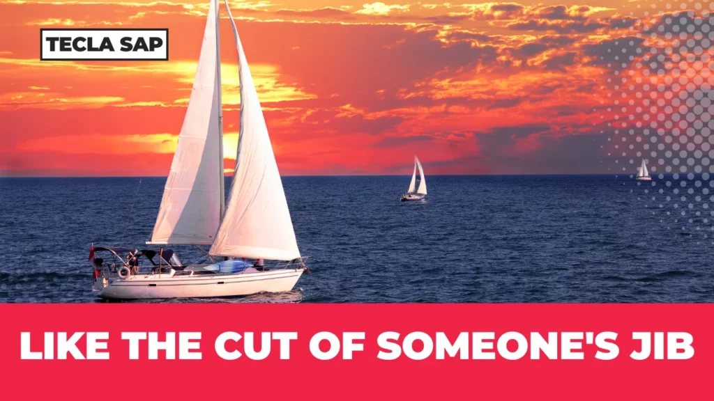 LIKE THE CUT OF SOMEONE'S JIB