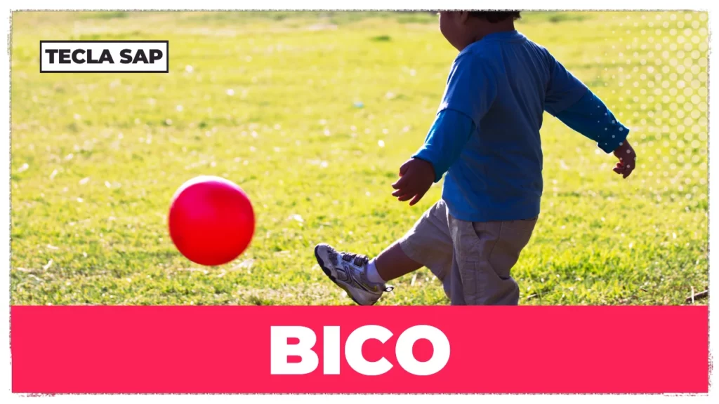 BICO