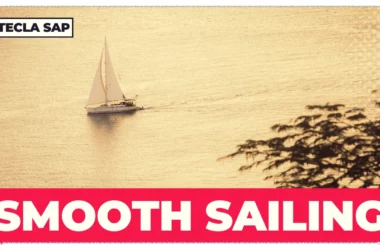 SMOOTH SAILING? O que a expressão quer dizer?