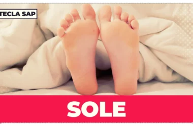 SOLE em inglês: guia completo para entender e usar sem susto