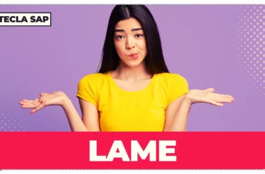 LAME: guia prático para você usar LAME com segurança
