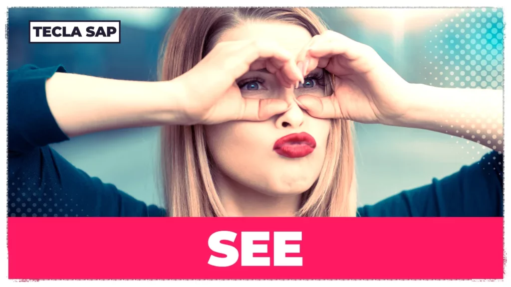 PHRASAL VERBS COM SEE