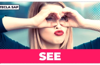 Phrasal verbs com SEE: guia completo para aprender e aplicar