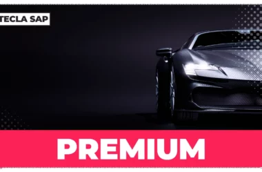 PREMIUM? Qual é o significado e a tradução de “PREMIUM”?