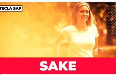 Significado de SAKE: guia completo para você não errar mais