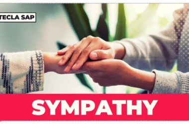 SYMPATHY? Qual é o significado e a tradução de “SYMPATHY”?