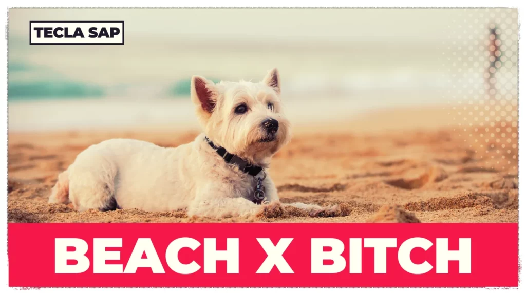 BEACH x BITCH