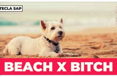 BEACH x BITCH: guia completo para não confundir as pronúncias