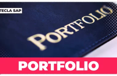 PORTFOLIO? O que significa esse anglicismo?