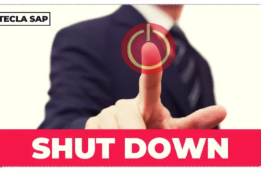 SHUT DOWN? Qual é o significado e a tradução da expressão?