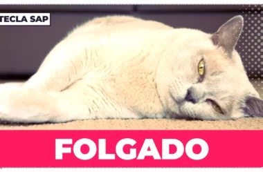 Folgado! Como se diz “folgado” em inglês?