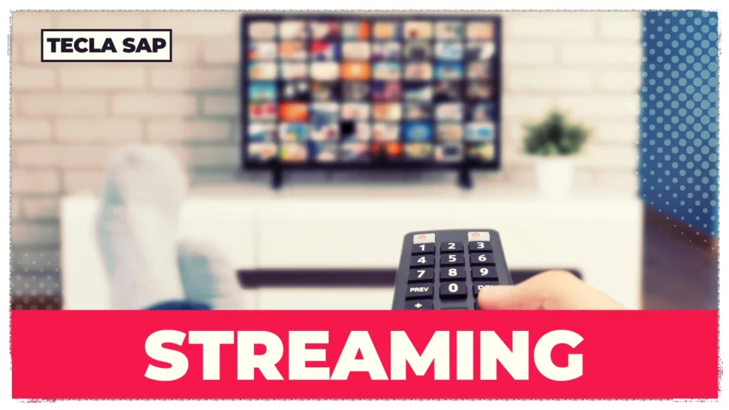 SIGNIFICADO DE STREAMING