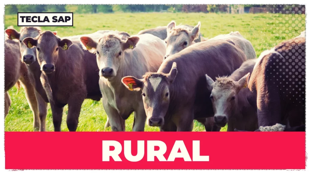 PRONUNCIA DE RURAL EM INGLES