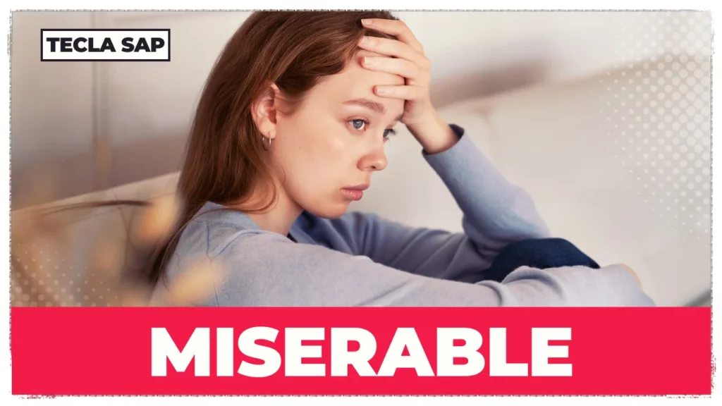 SIGNIFICADO DE MISERABLE
