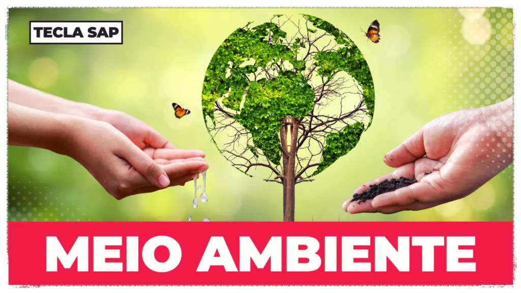 VOCABULÁRIO DE MEIO AMBIENTE EM INGLÊS