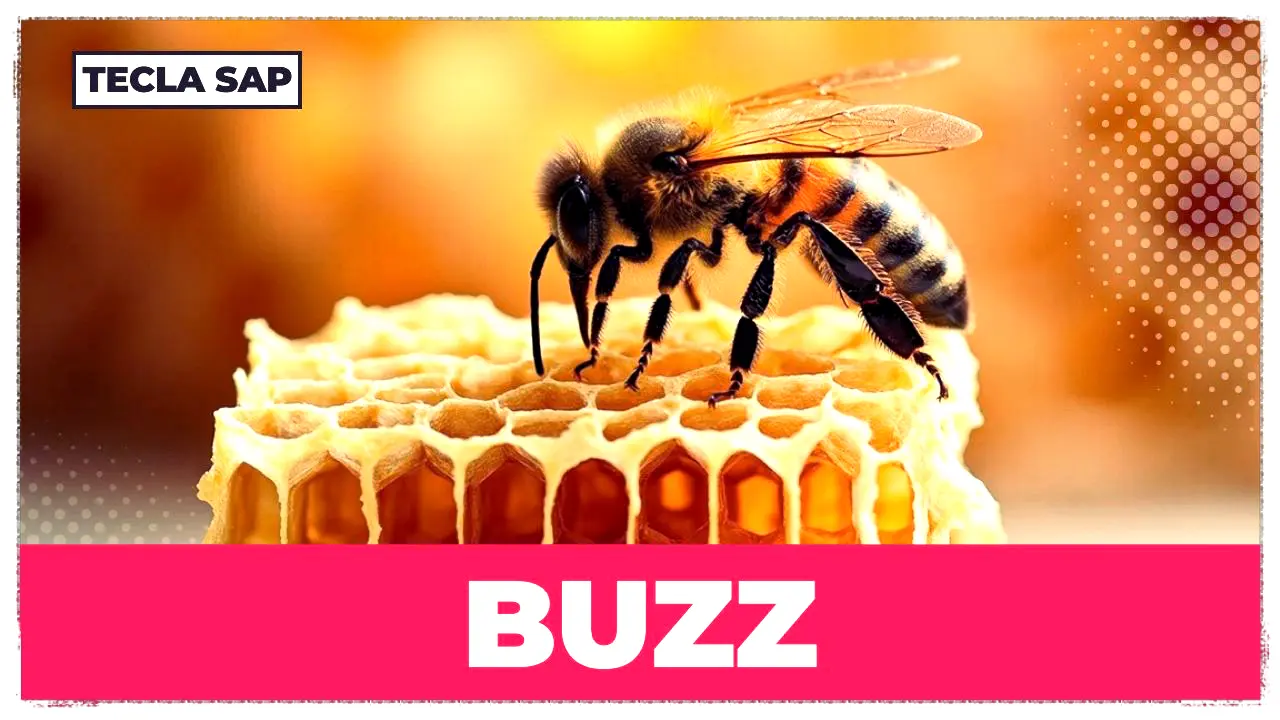 buzz em português