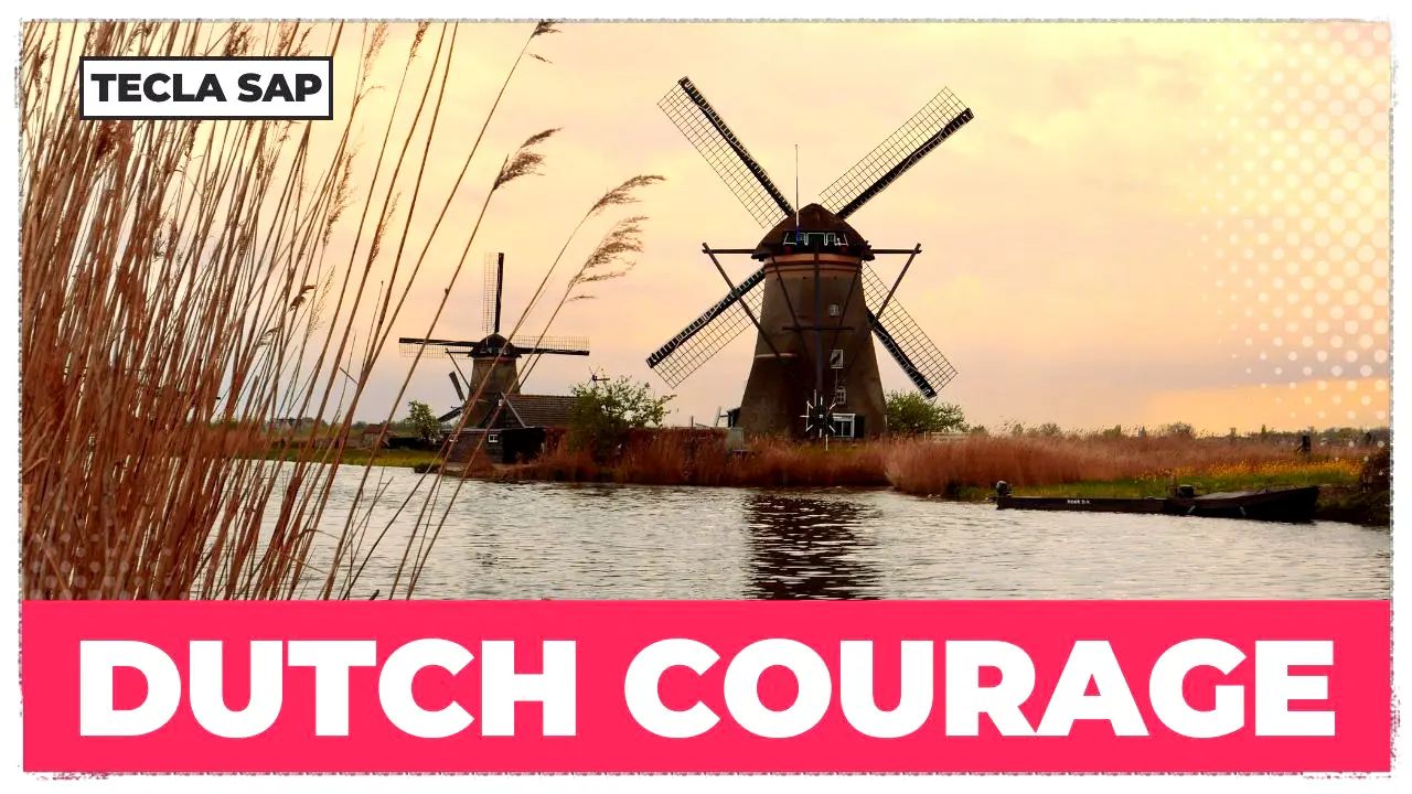 Dutch courage em português