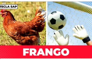 Frango em inglês: a palavra ideal para a mancada