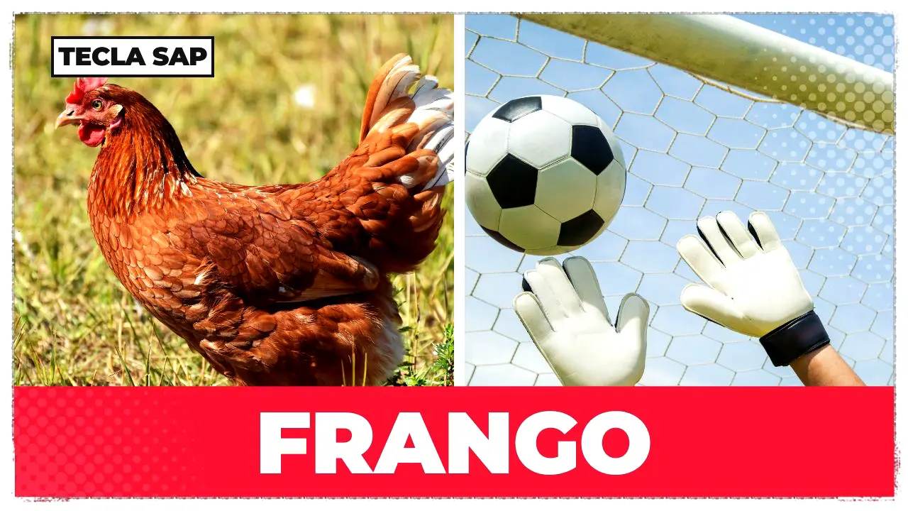 frango em inglês