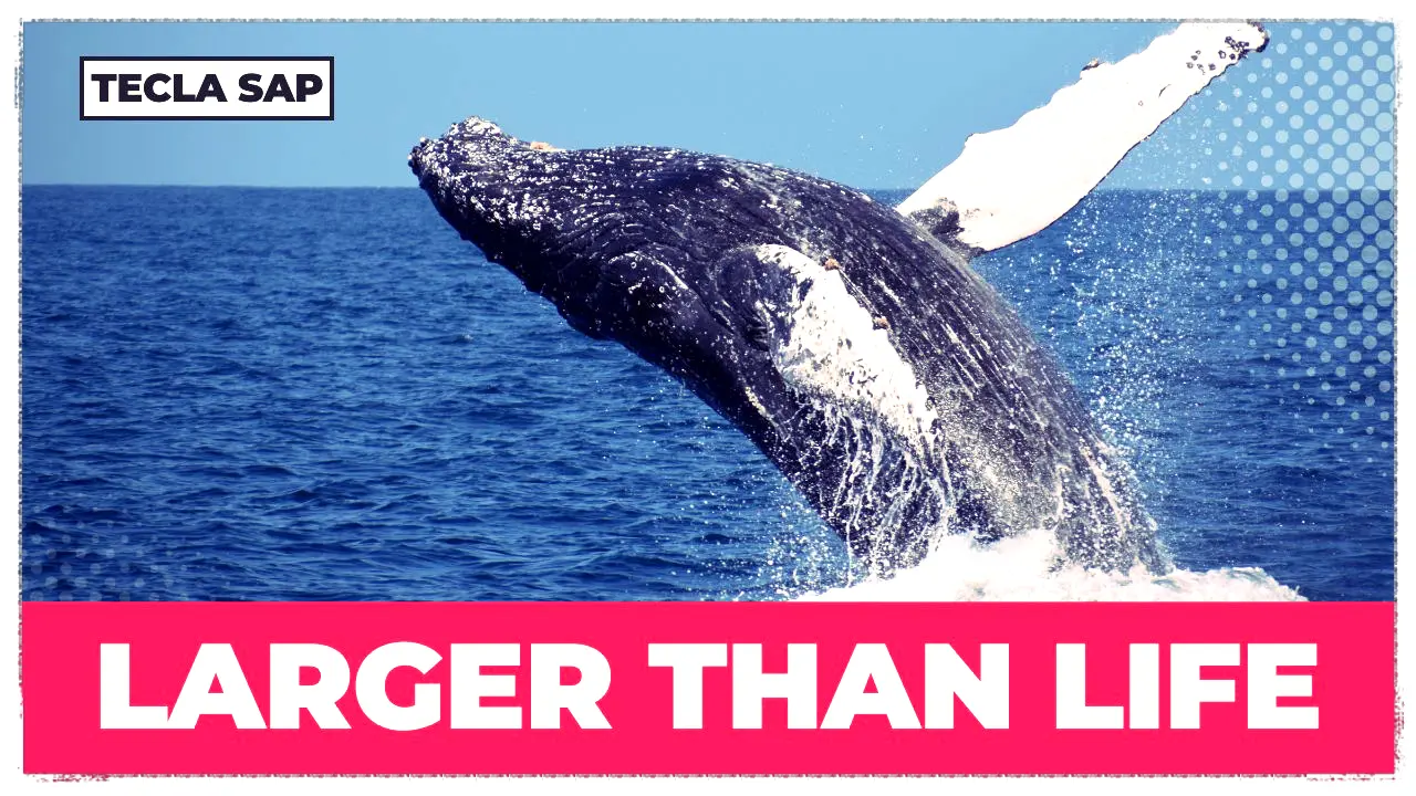 larger than life em português
