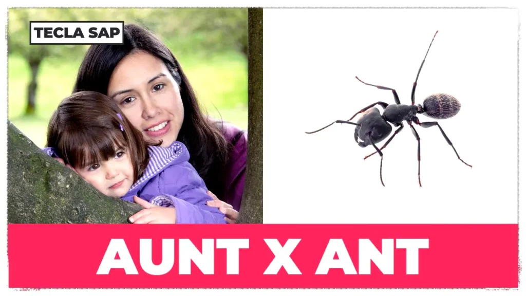 ANT x AUNT