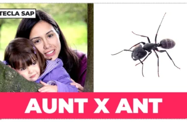 Como pronunciar ANT e AUNT em inglês? Guia completo