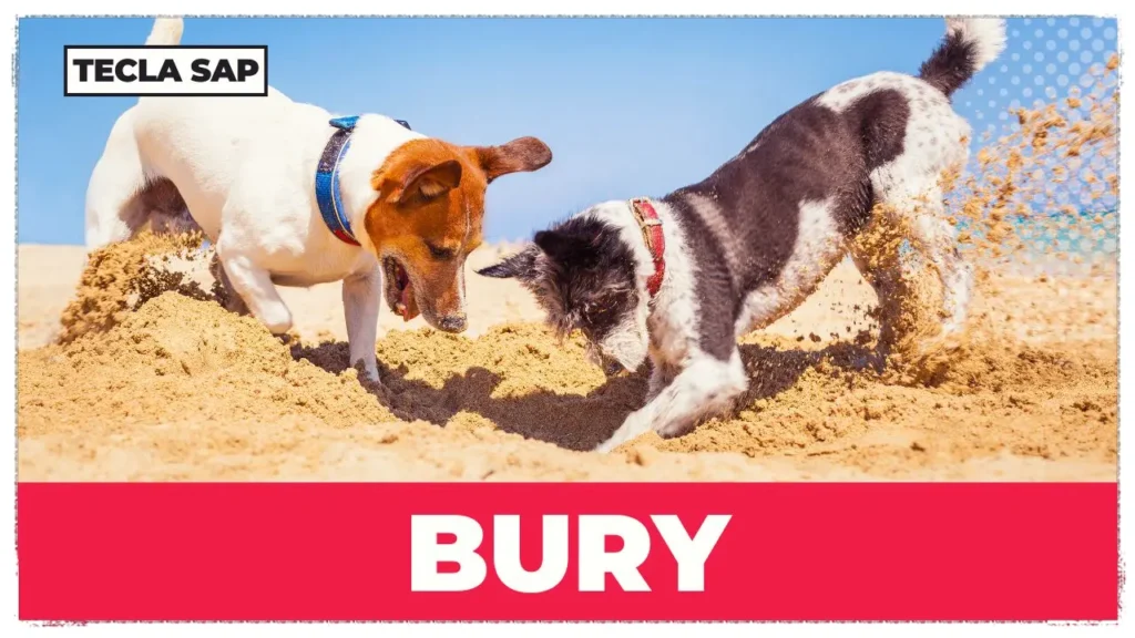 BURY x BURIAL x BERRY