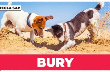 Pronúncia de BURY em inglês: o guia completo para não errar mais