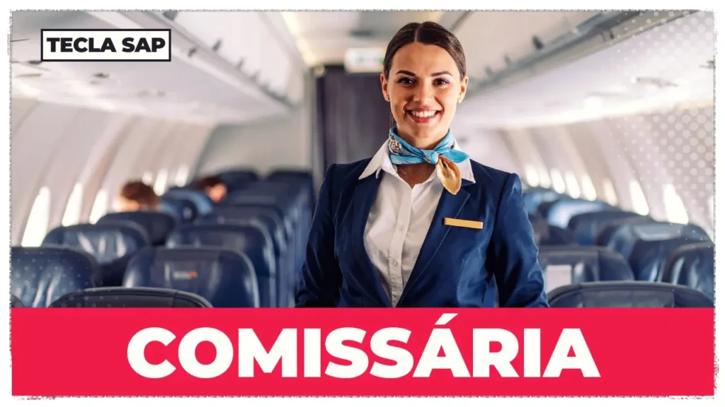 o malabarismo da comissária