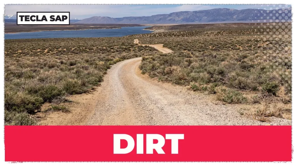 DIRT