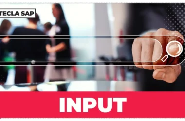 INPUT em português: guia completo de significados, traduções e usos