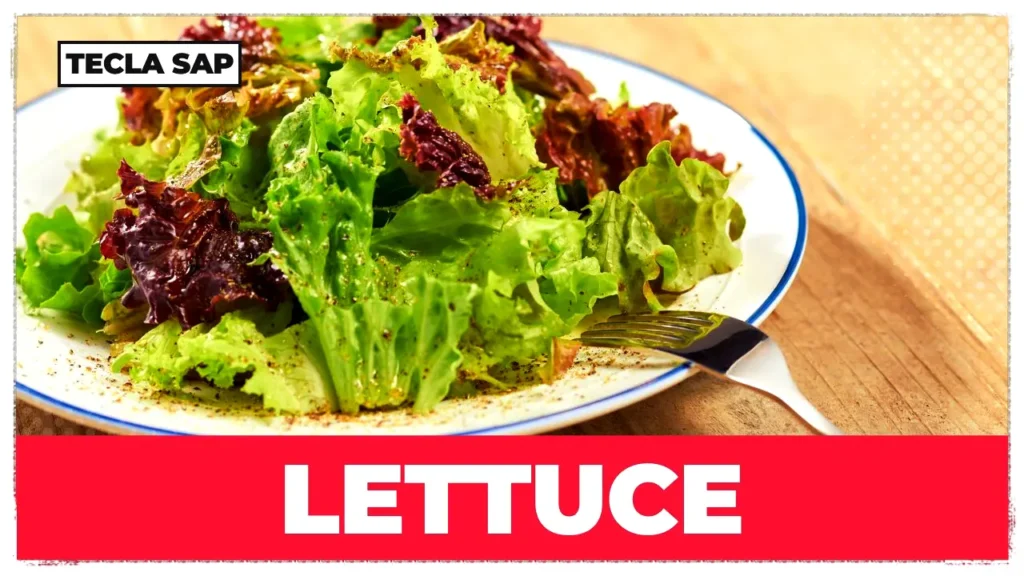 LETTUCE