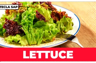 Como se pronuncia LETTUCE? O guia definitivo para nunca mais errar