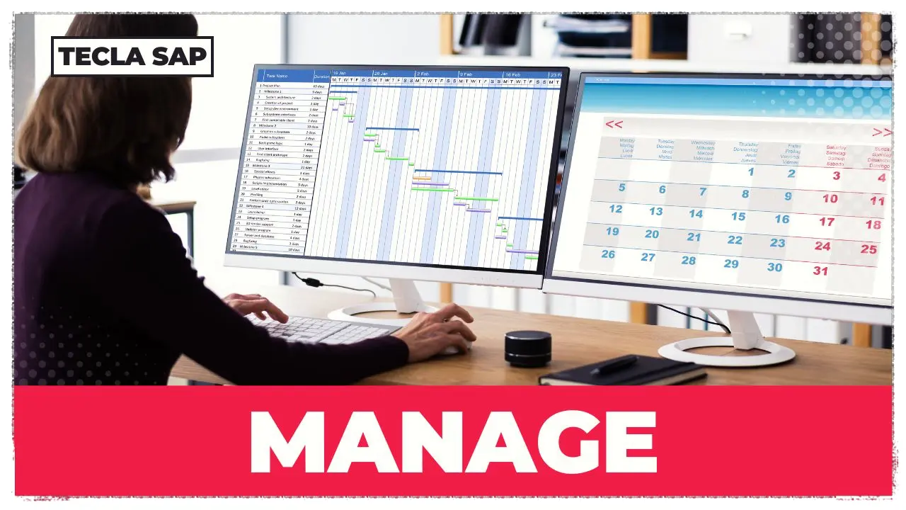 Manage em inglês
