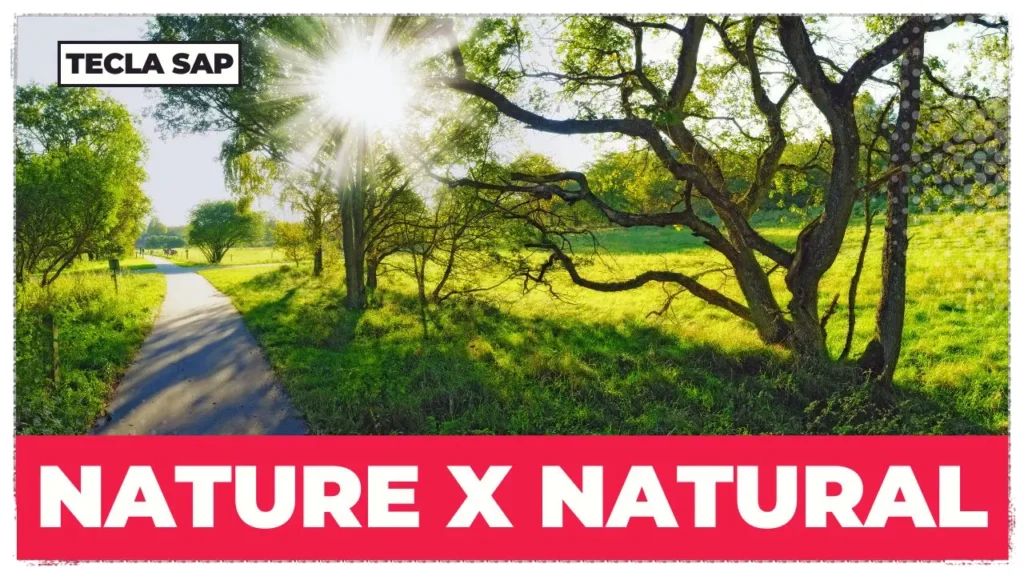 NATURE x NATURAL