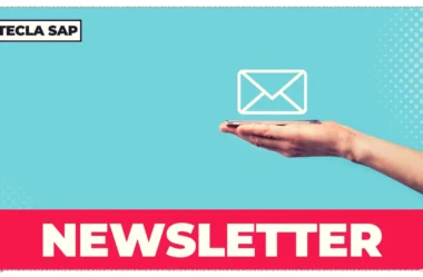NEWSLETTER em português: guia completo do anglicismo essencial