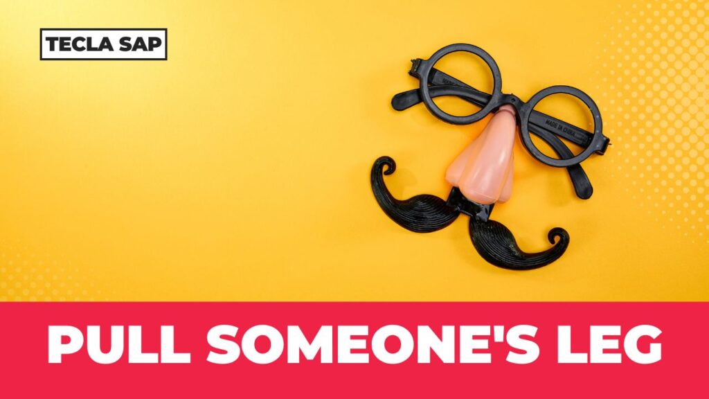 PULL SOMEONE'S LEG
