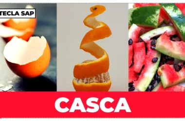 Como se diz “casca” em inglês? Descubra agora