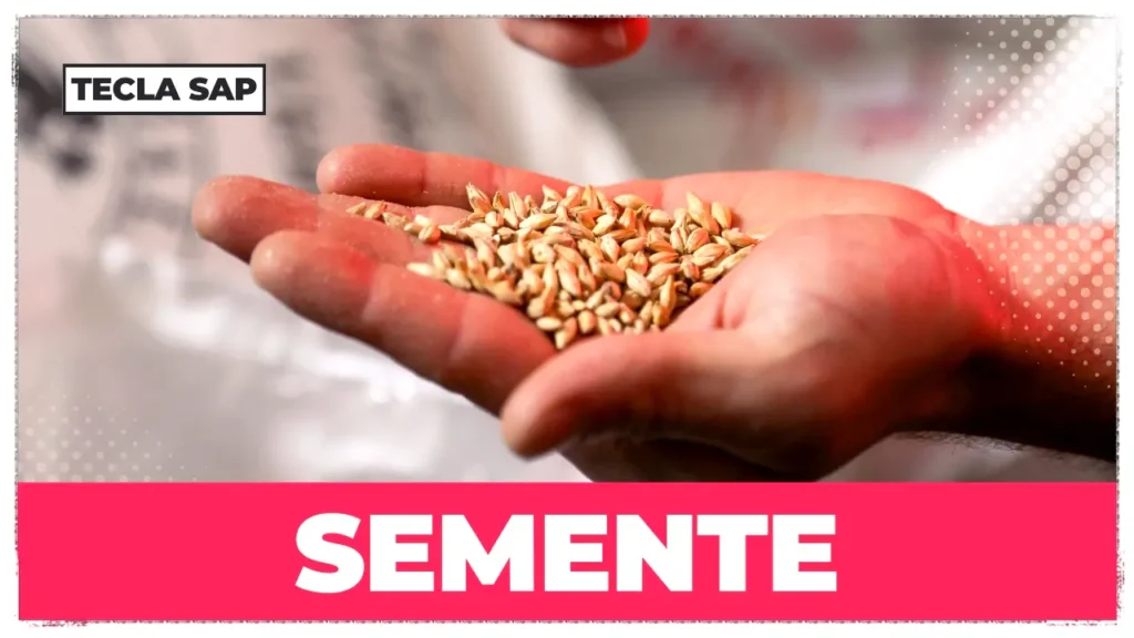 SEMENTE