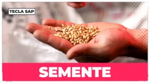 SEMENTE